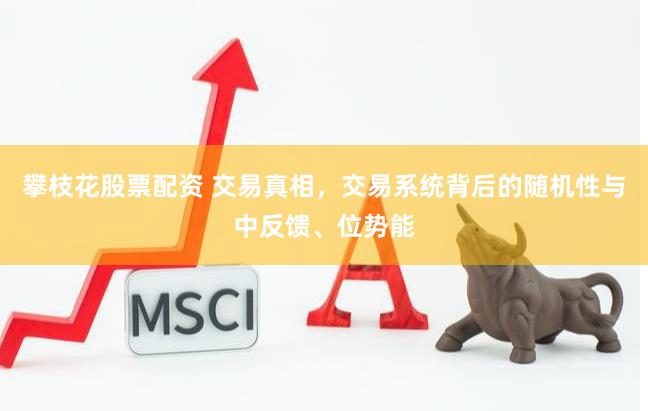 攀枝花股票配资 交易真相,交易系统背后的随机性与中反馈、位势能