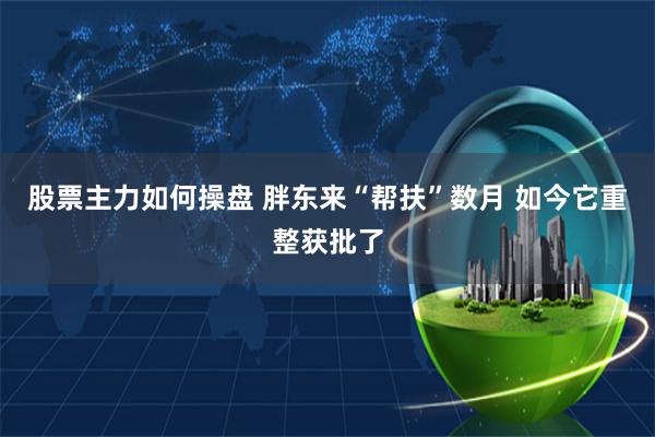 股票主力如何操盘 胖东来“帮扶”数月 如今它重整获批了