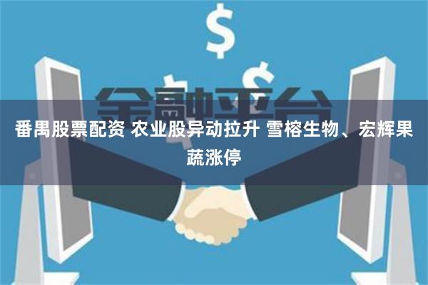 番禺股票配资 农业股异动拉升 雪榕生物、宏辉果蔬涨停