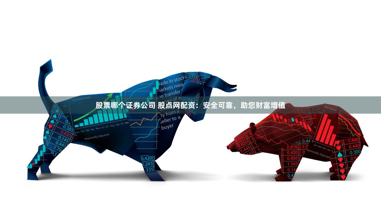 股票哪个证券公司 股点网配资：安全可靠，助您财富增值
